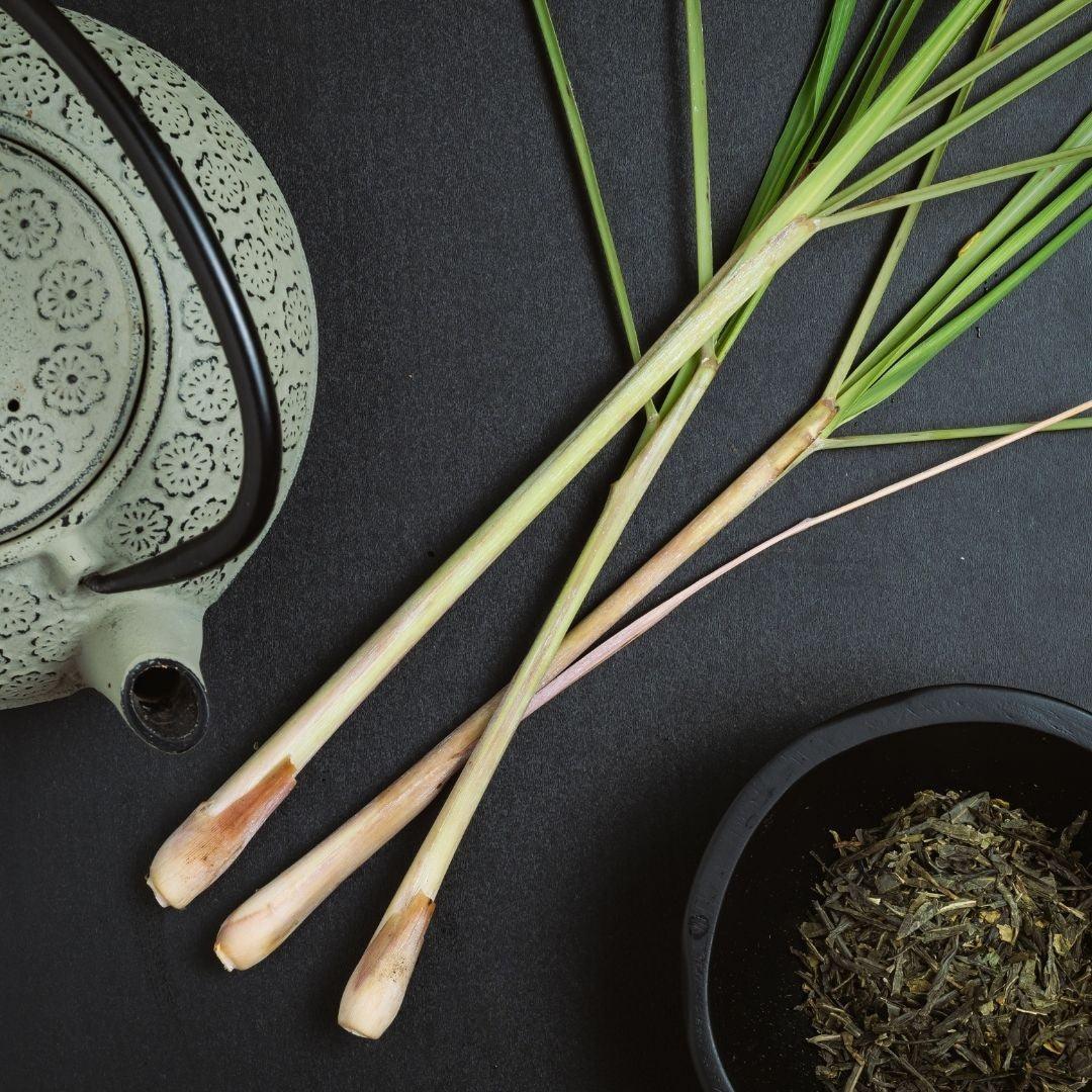 DIY your blooming tea with lemongrass leave