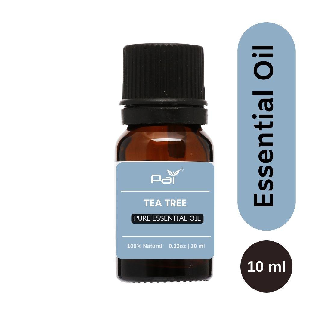 PAI - Tea Tree Essential Oil