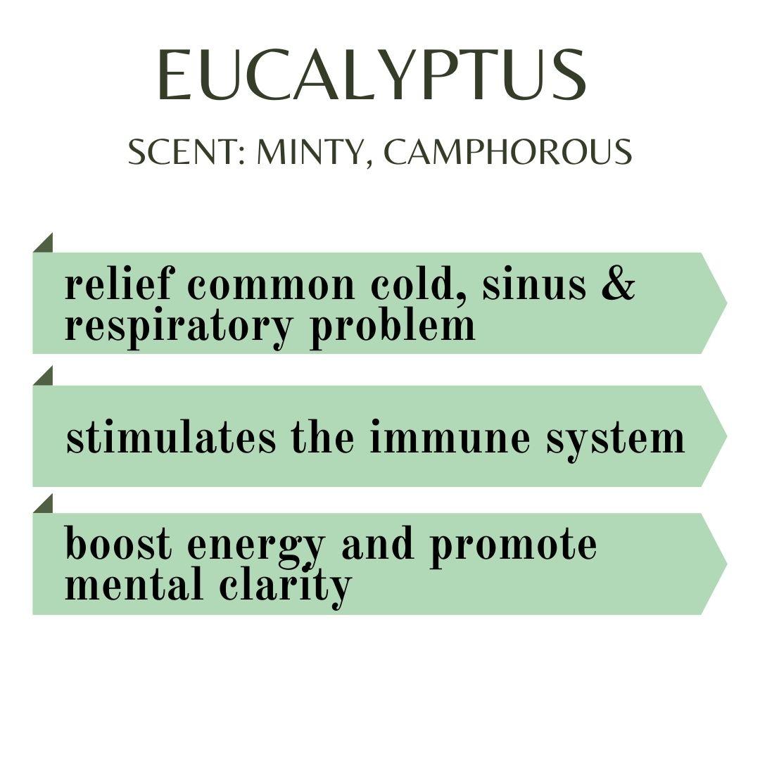 PAI - Eucalyptus Essential Oil