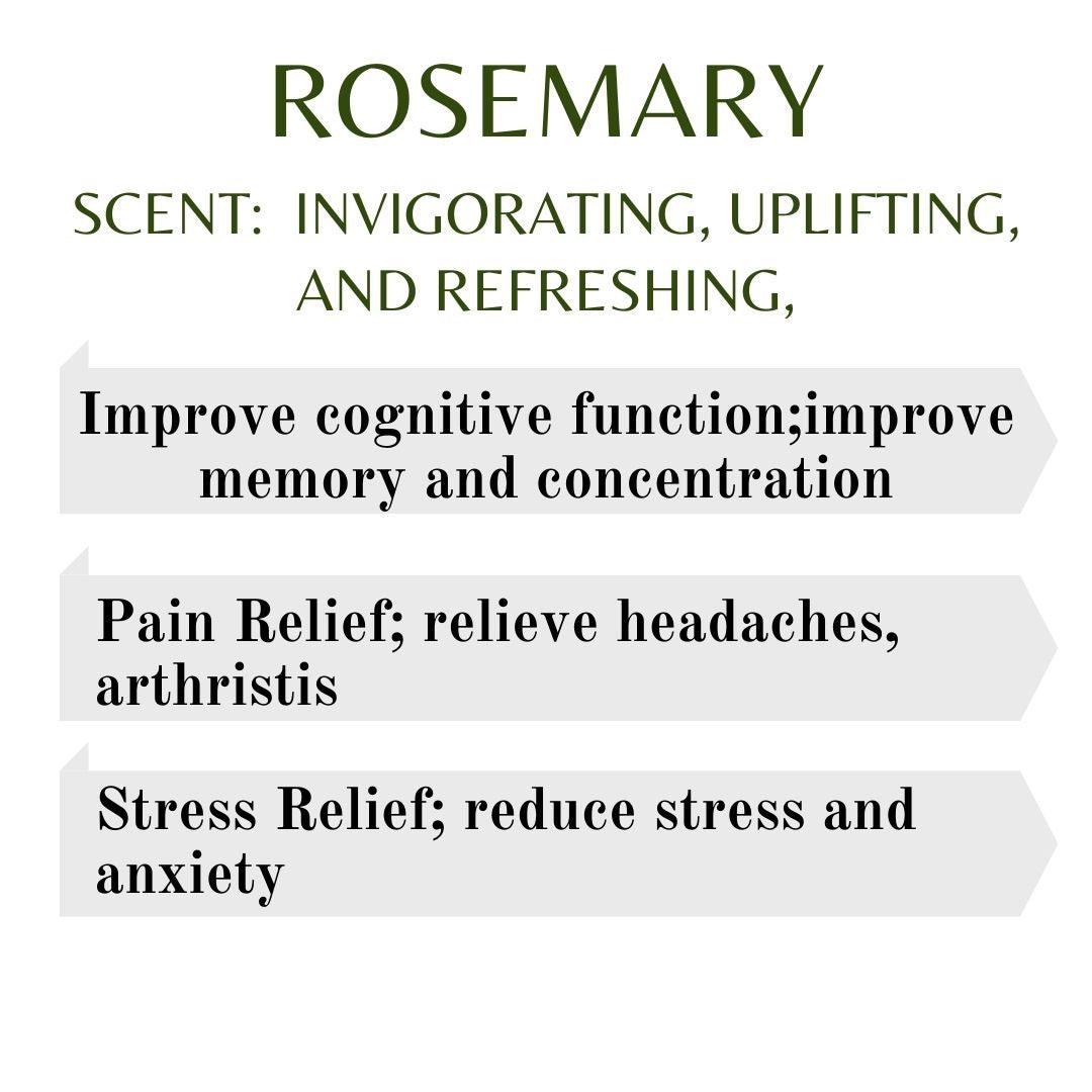 PAI - Rosemary Essential Oil