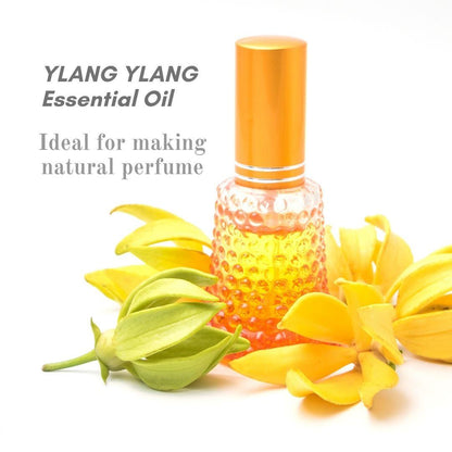 PAI - Ylang Ylang Essential Oil