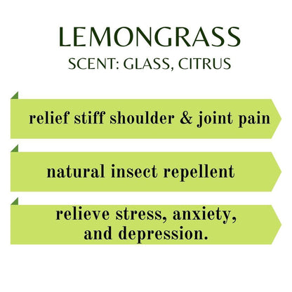 PAI - Lemongrass Essential Oil