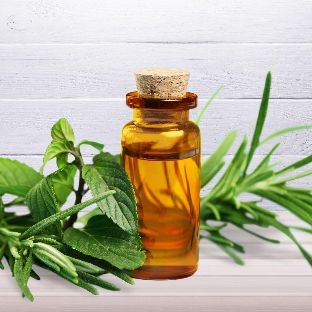 PAI - Tea Tree Essential Oil