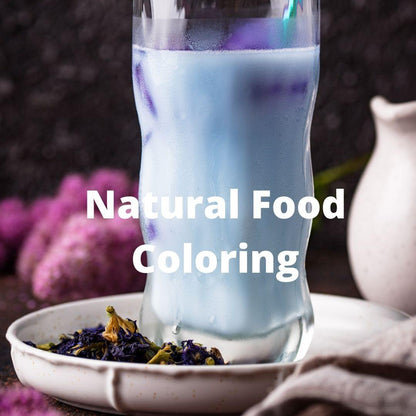 PAI - Butterfly Pea Flower Tea - PAI Wellness