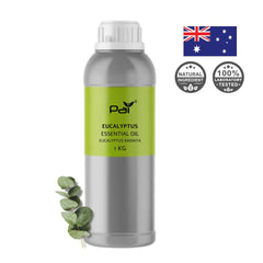 PAI Wholesale Bulk Essential Oil- Eucalyptus