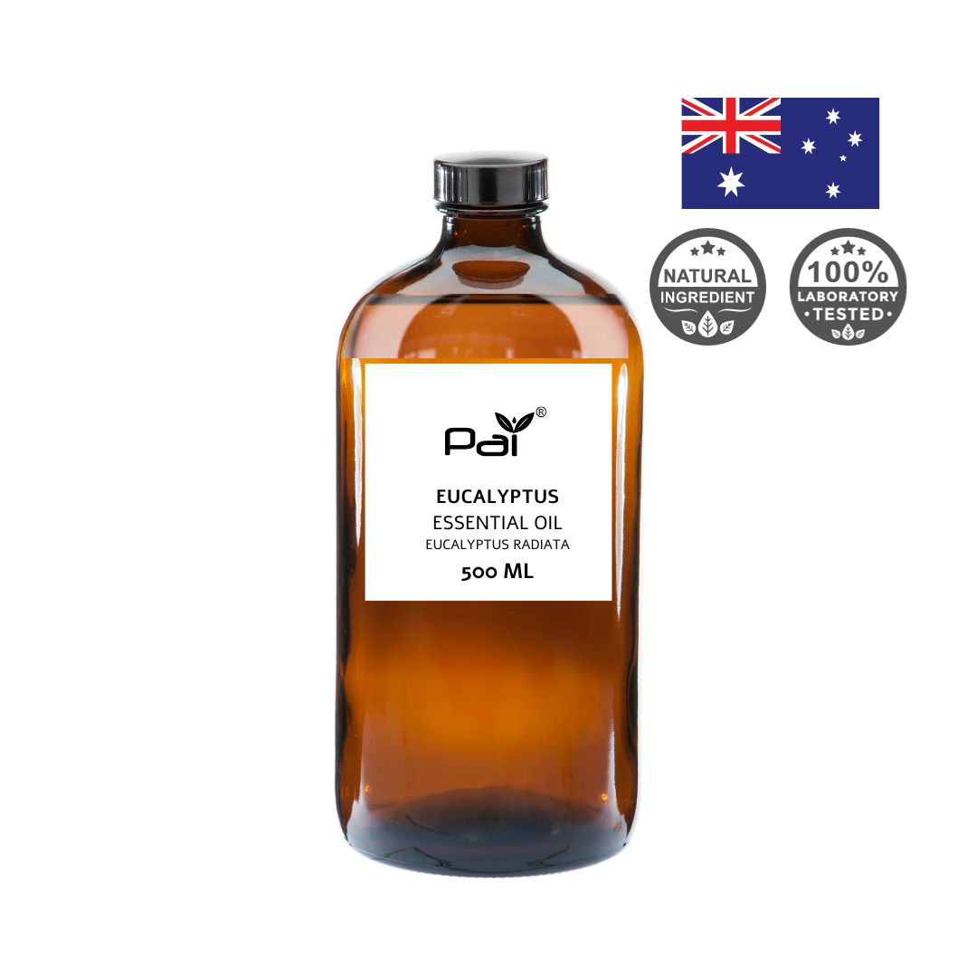 PAI Wholesale Bulk Essential Oil- Eucalyptus