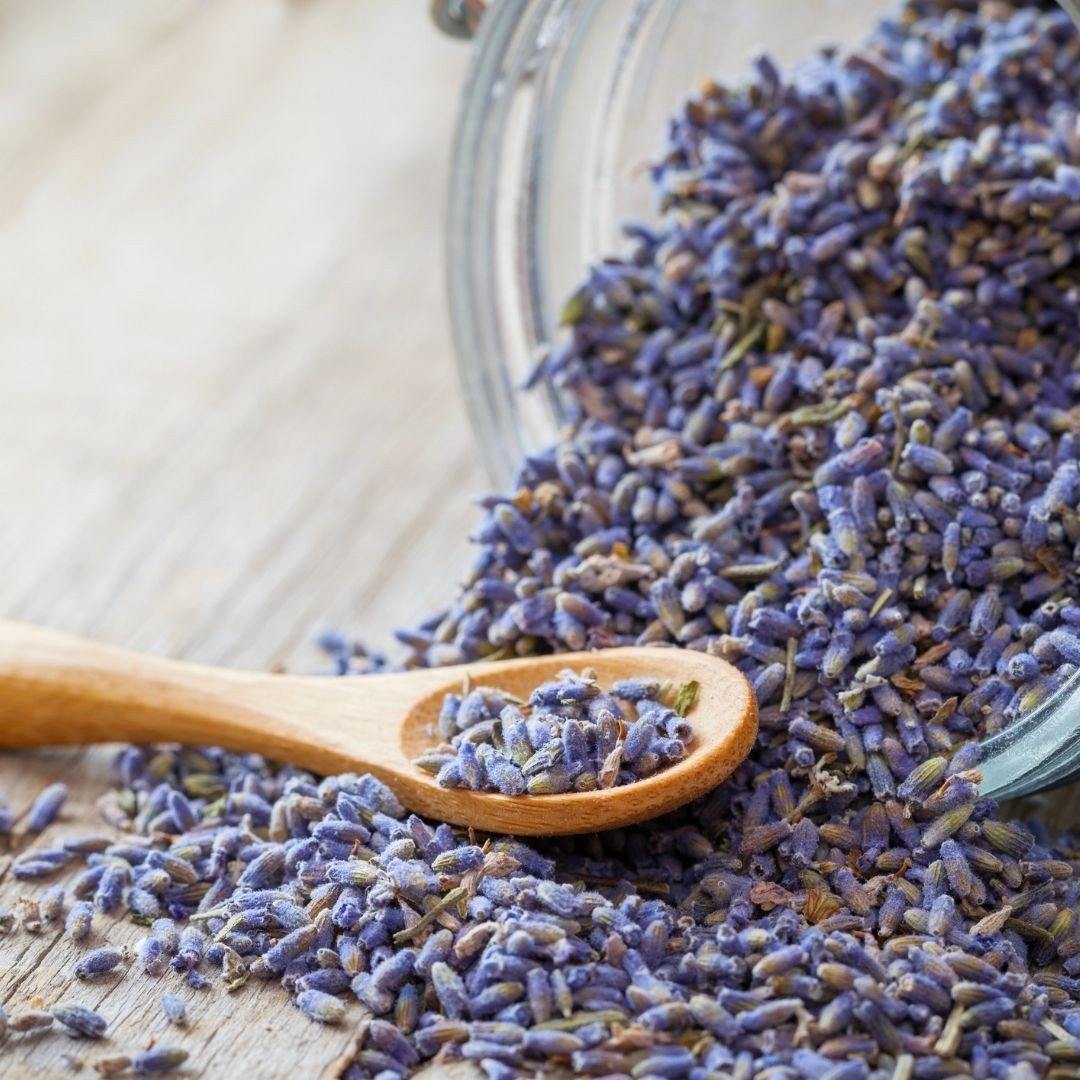 Lavender Flower Tea | Shop Flower Tea | PAI Wellness