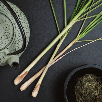 Lemongrass Flower Tea | Shop Flower Tea | PAI Wellness