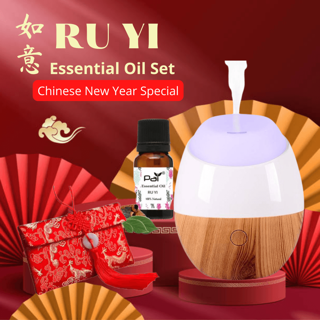 PAI RUYI  Home Living Diffuser Set 如意好风水香薰系列