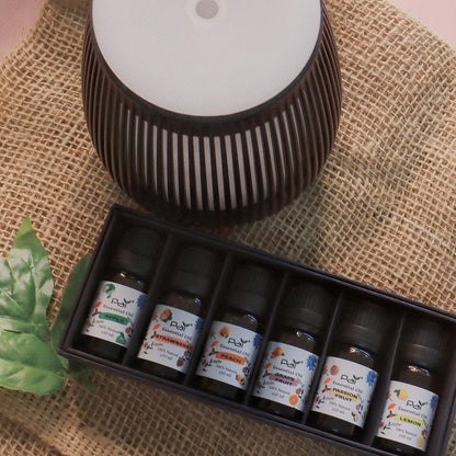 PAI - Prosperity Diffuser with 6 in1 Fruity Essential Oil Set - PAI Wellness