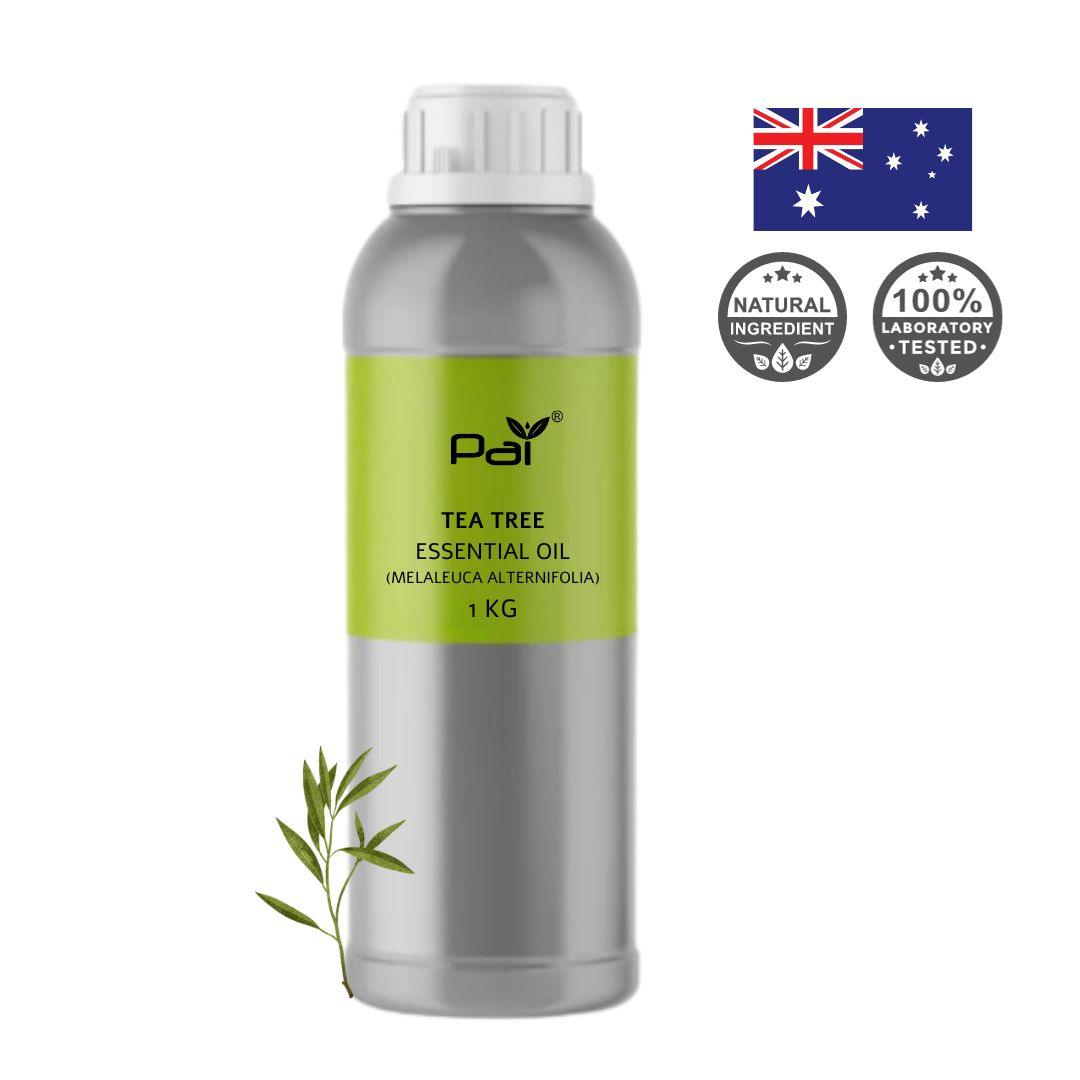 PAI Wholesale Bulk Essential Oil- Tea Tree