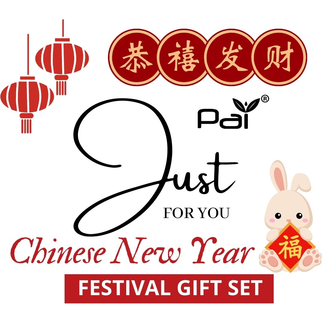 PAI CNY 2022 Six Happiness Hamper 6 in1 Gift Pack [六福临门新年礼篮]