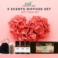 PAI - 3 Scents Essential Oil Aromatherapy Diffuser Set