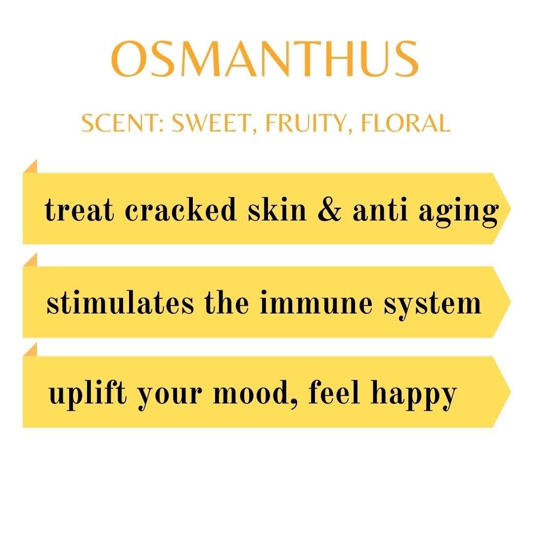 Osmanthus Essential Oil | Shop Essential Oils | PAI Wellness