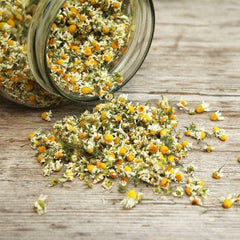 Chamomile Flower Tea | Shop Flower Tea | PAI Wellness